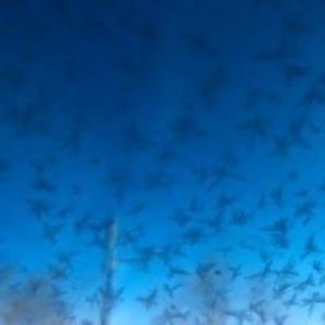 Meet your Posher, Wan